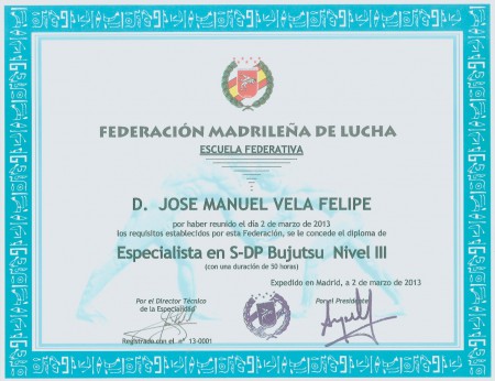TITULO DE CINTURON MARRON NIVEL 3  DE BUJUTSU